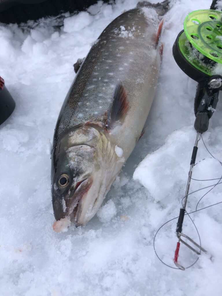 Wyprawa na ryby do Laponii