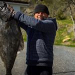 Łowienie ryb Lofoty